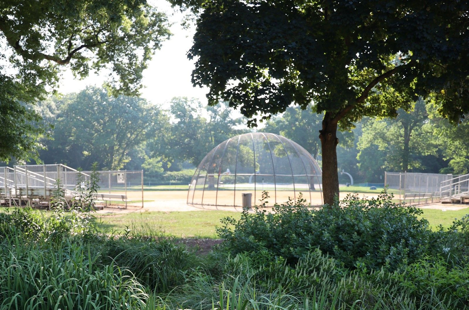 Baseball field and mature trees at Tamaques Park in Westfield, from the January 2026 engagement report