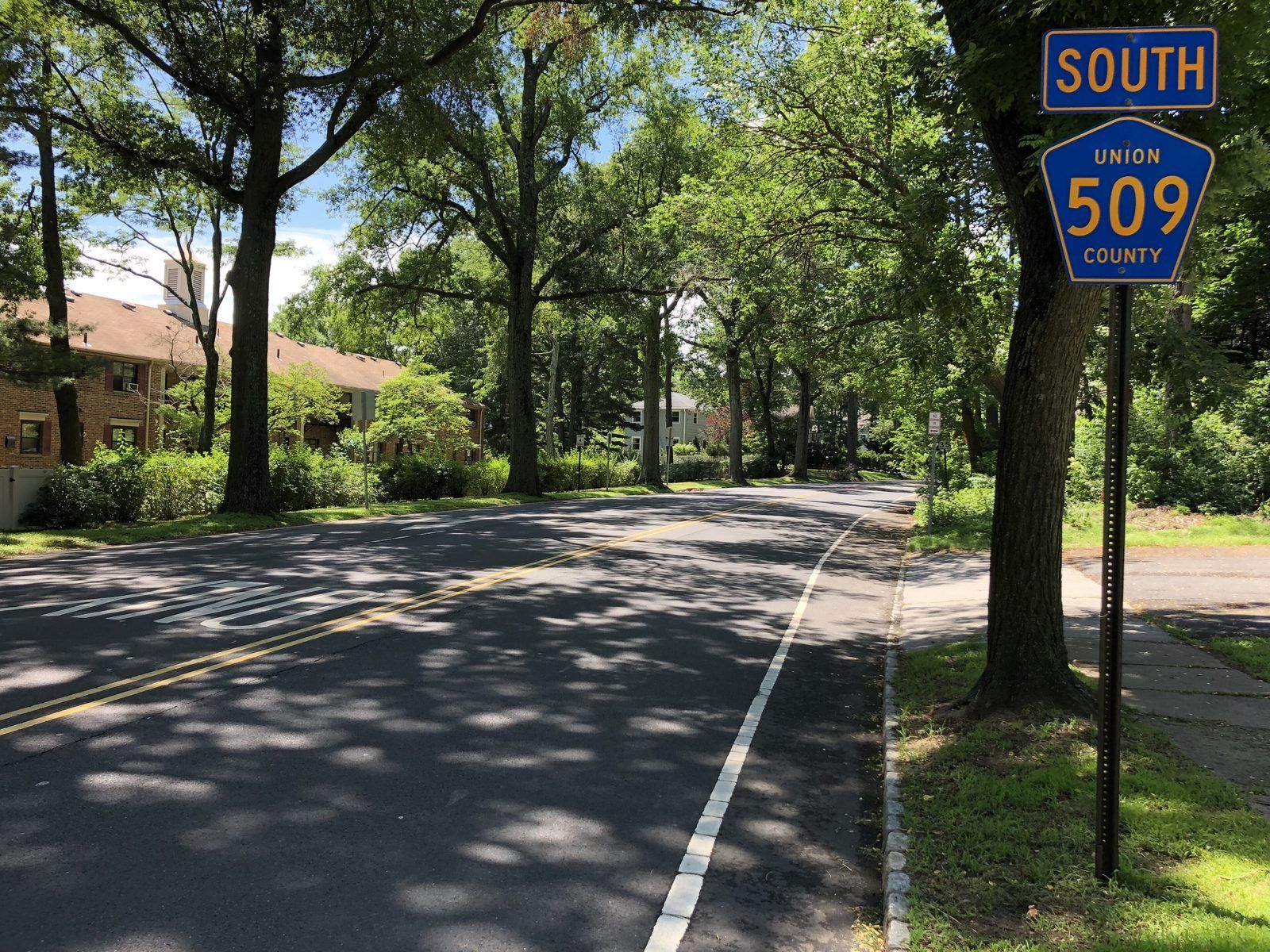A tree-lined street in Westfield